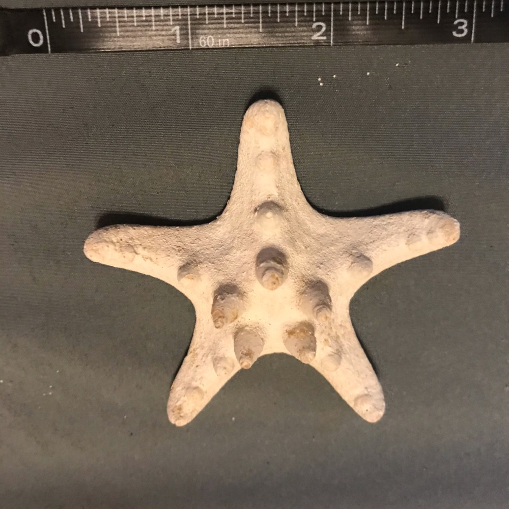 Starfish